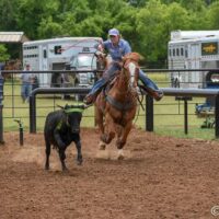 Taryn Krantz 3-29