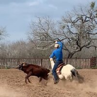 Justyn Gray Roping Justyn Gray Roping