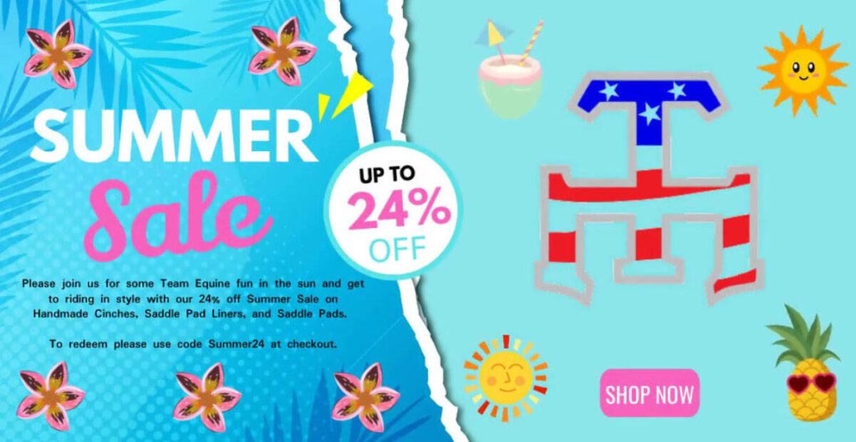 TE summer sale